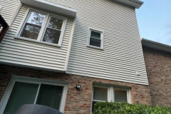 Bee Hive Removal MD