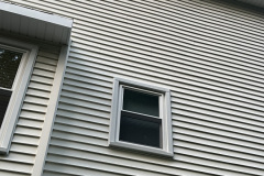 Hornet Hive Removal MD