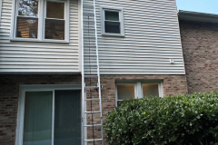 Wasp Hive Removal MD