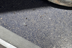 Maryland Termite Control