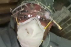 MD-Termite-Control-2
