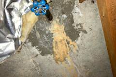 Termite & Pest Control