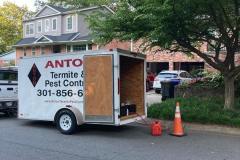 Washington DC Maryland Termite Pest Control