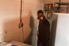 Washington DC Maryland Termite Pest Control